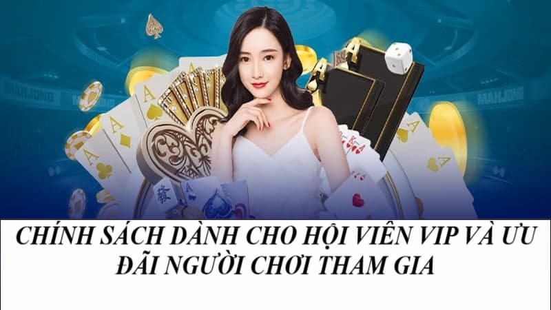 Những thông tin về chính sách VB88 hội viên VIP và người chơi